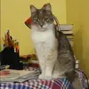 Отзыв от Татьяна Голованова